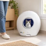 EZIclean CATBOT K10i, scaling